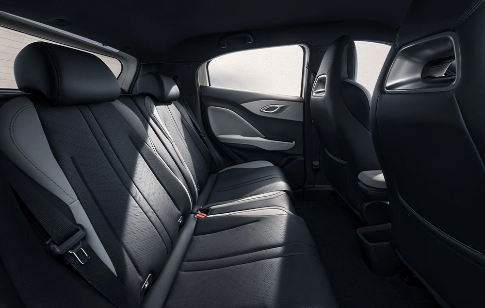 BYD DOLPHIN SURF Interieur comfort Gomes