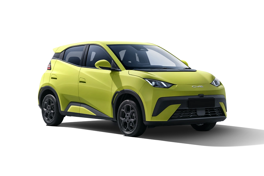 BYD DOLPHIN SURF