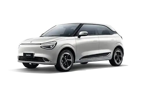 Dongfeng BOX